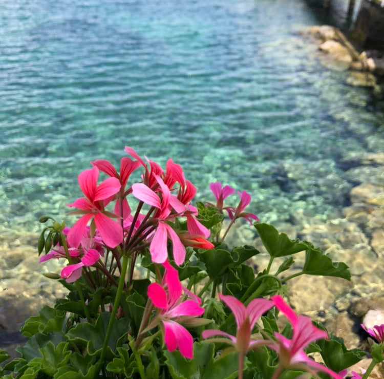 SUMMER HIDEWAY AT THE LAKE