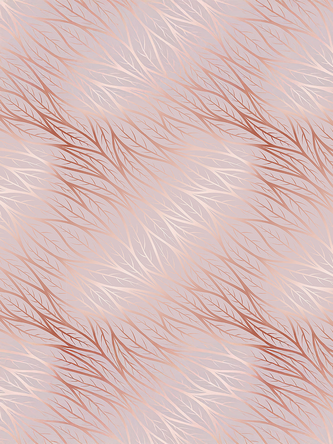 Plain