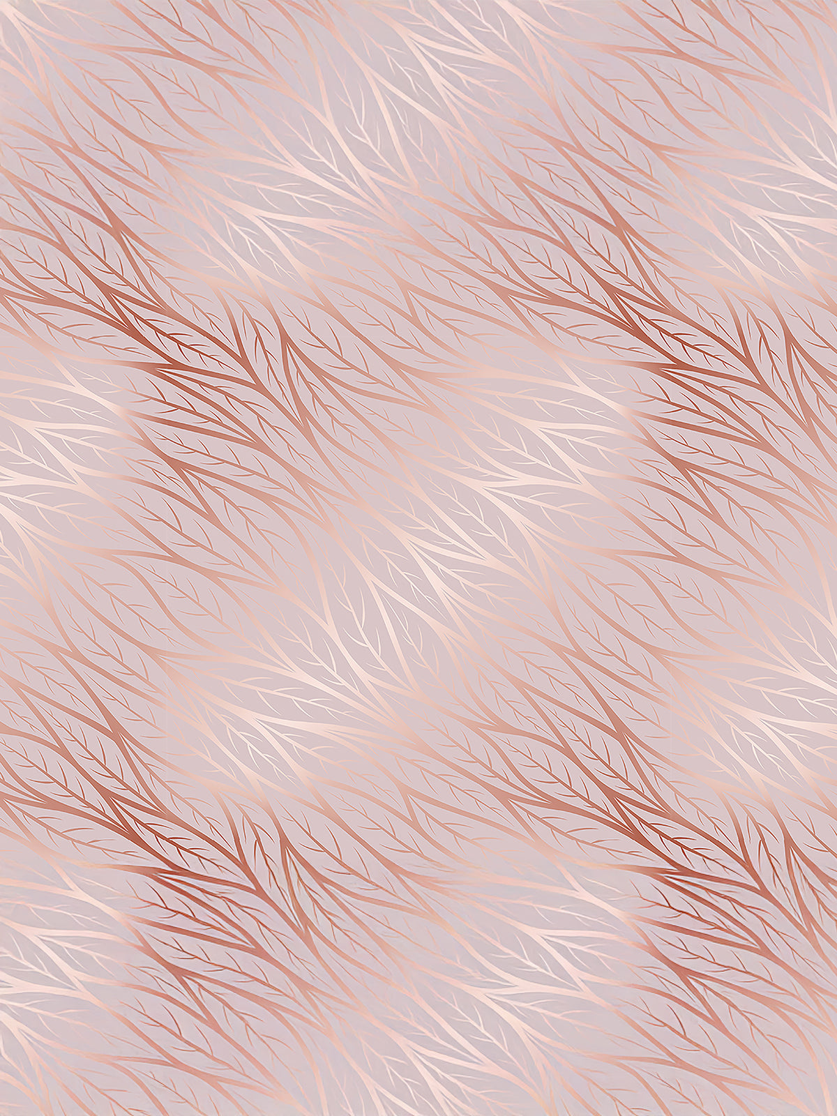 Plain