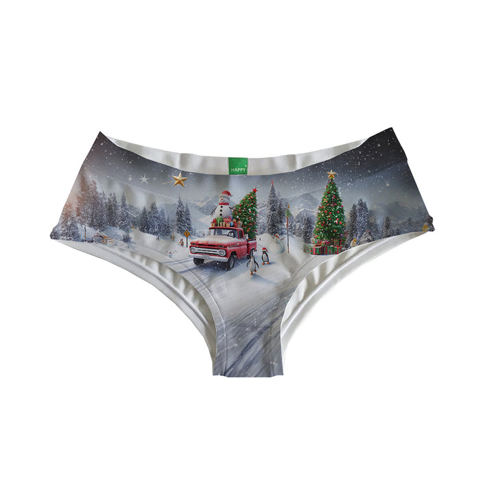 Undies Express Hipster