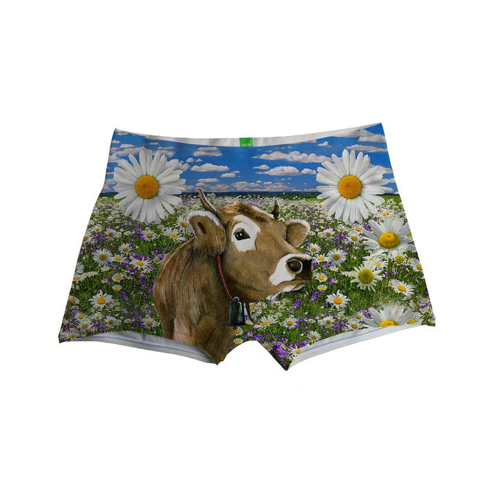 Alpen Feelings Boxer