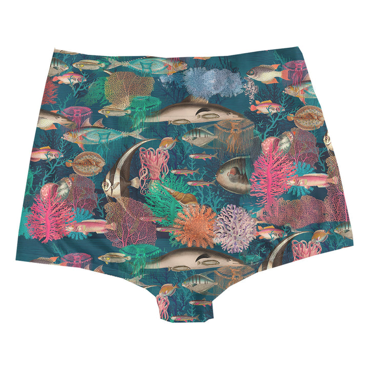 Aquarium Highwaist Woman Underwear Beachwear Loungewear