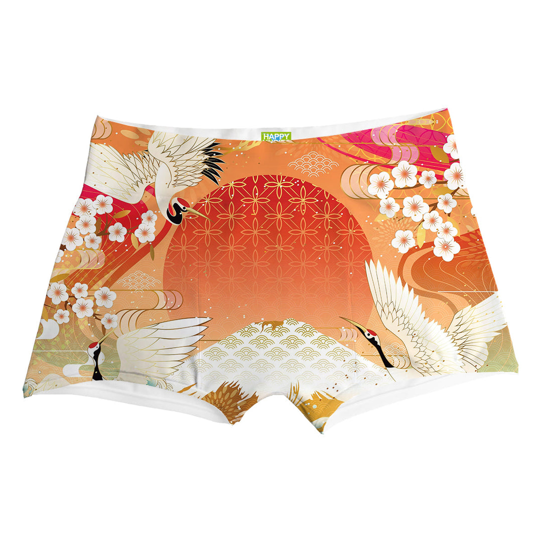 Asian Look Boxer Front