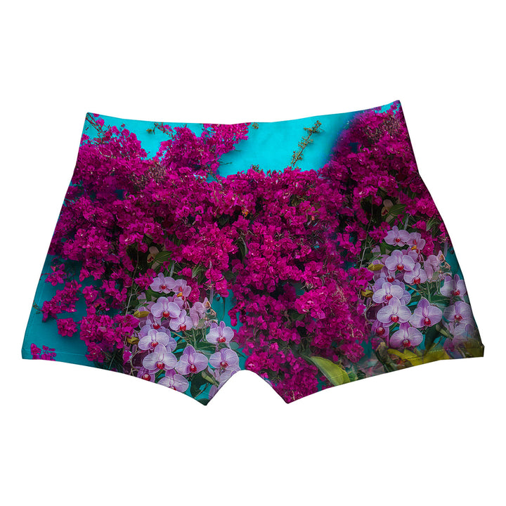 Colibri Boxer Back