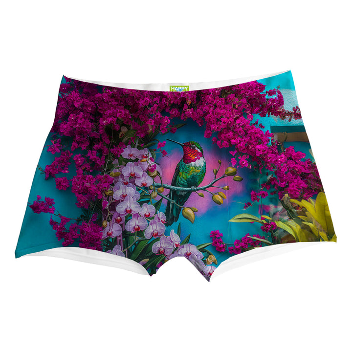 Colibri Boxer Front