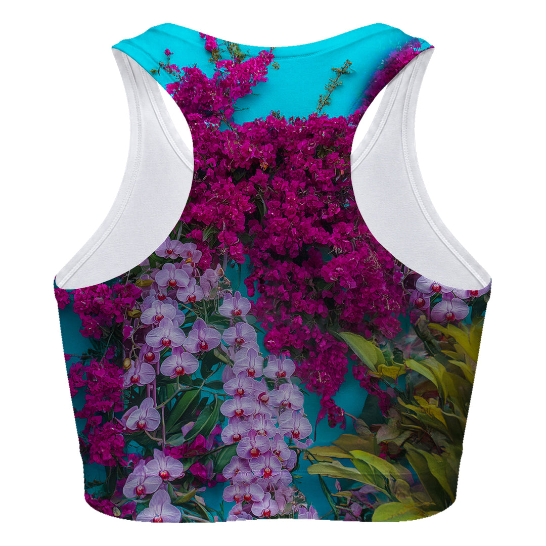 Colibri Sport Bra Woman Underwear Beachwear Loungewear
