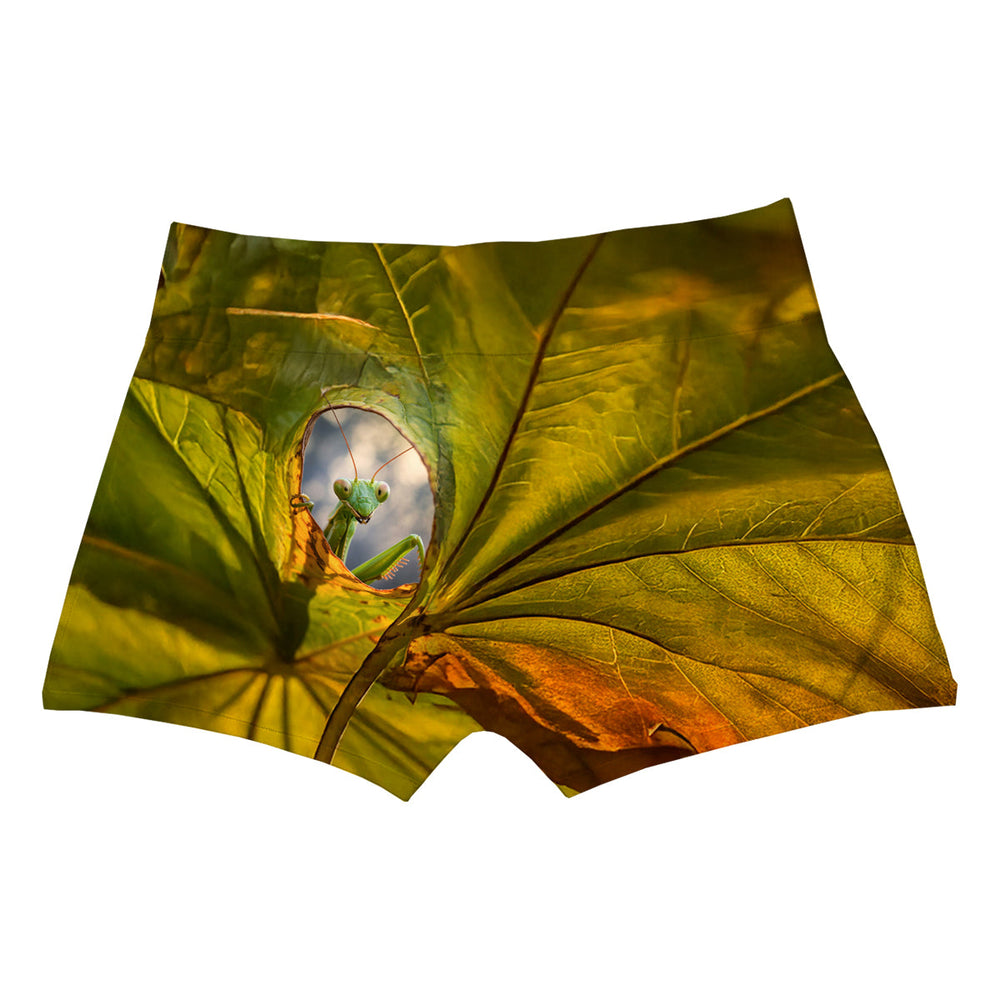 Hello Boxer Man Underwear Beachwear Loungewear