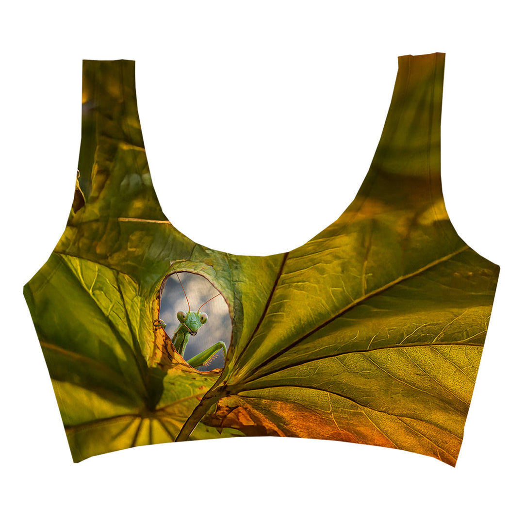 Hello Crop Top Woman Underwear Beachwear Loungewear