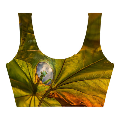 Hello Crop Top Woman Underwear Beachwear Loungewear