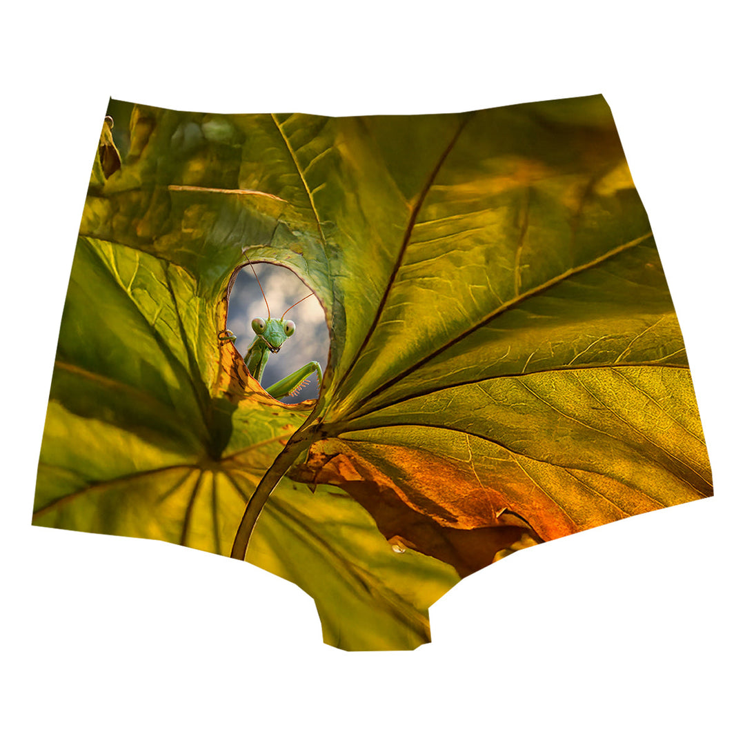 Hello Highwaist Woman Underwear Beachwear Loungewear