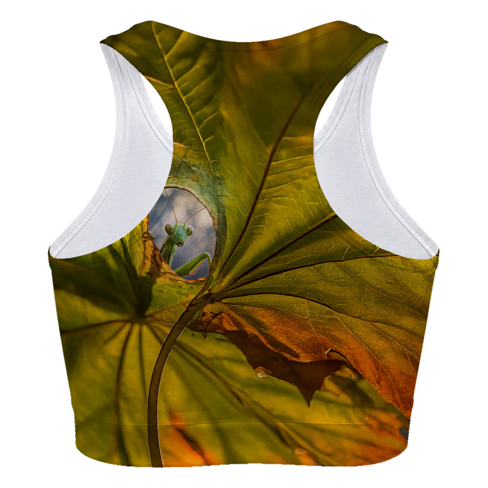 Hello Sport Bra Woman Underwear Beachwear Loungewear