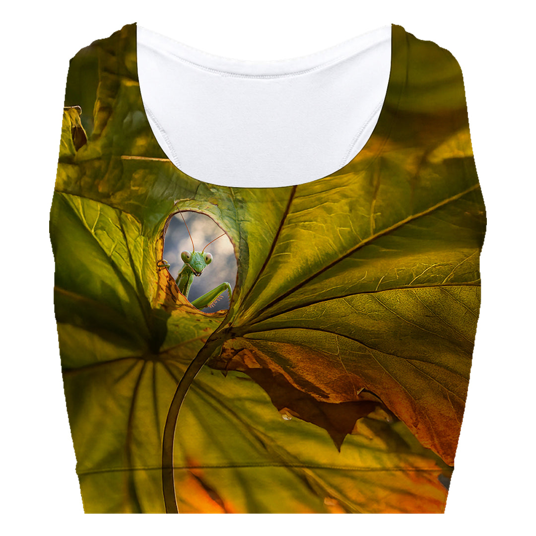 Hello Sport Bra Woman Underwear Beachwear Loungewear