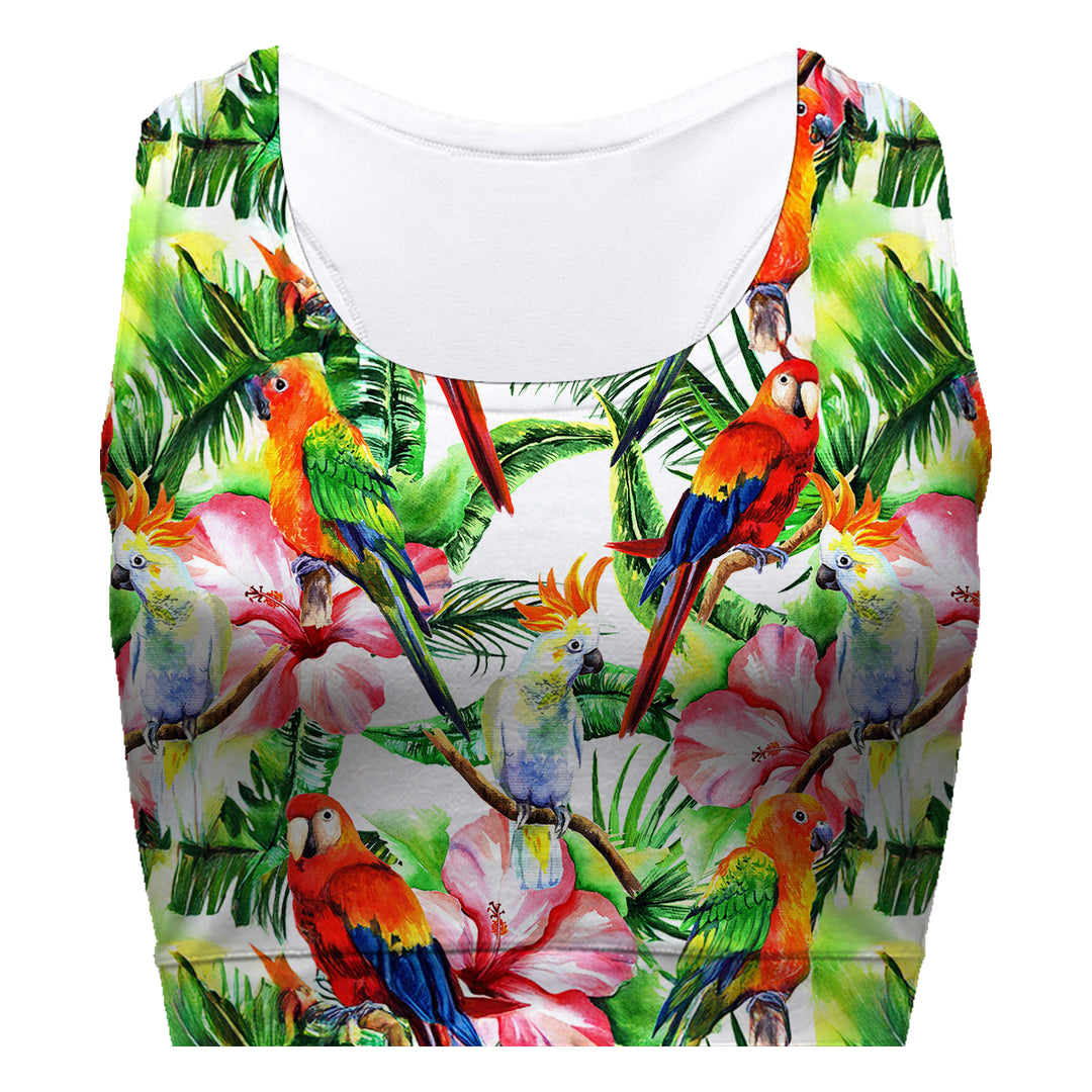 Parrots Talk Sport Bra Woman Underwear Beachwear Loungewear