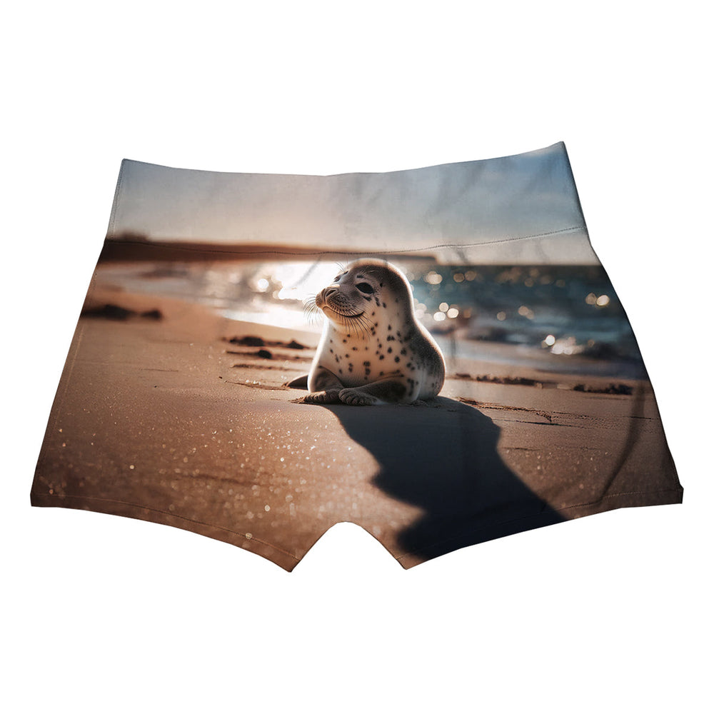 Robbe Boxer Back