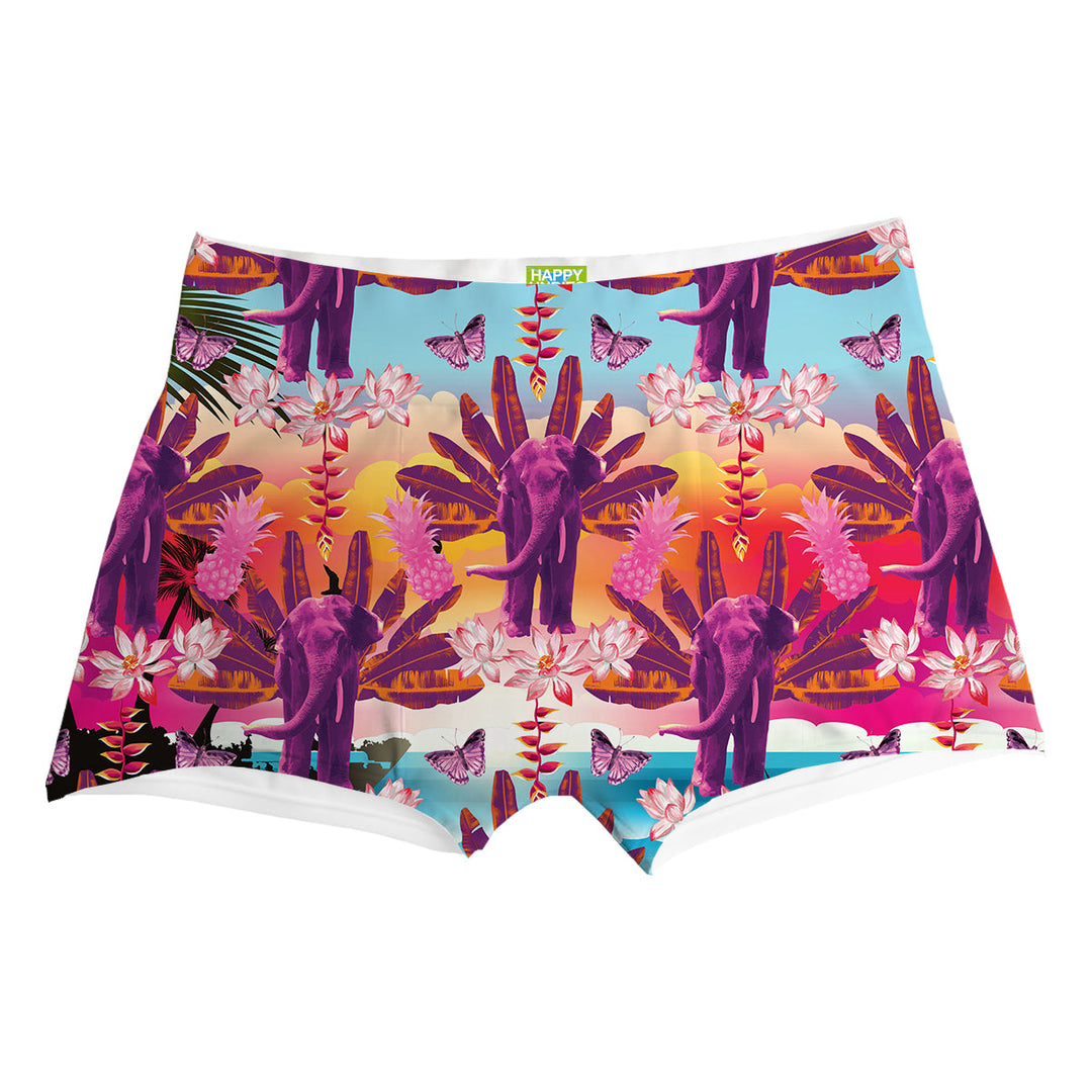 Savanna Boxer Front