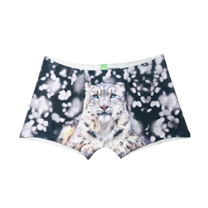 Snow Tiger Boxer