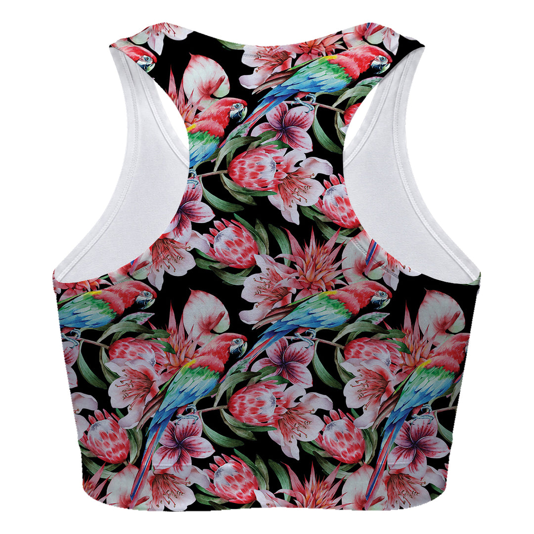 Tomb Papagei Sport Bra Woman Underwear Beachwear Loungewear