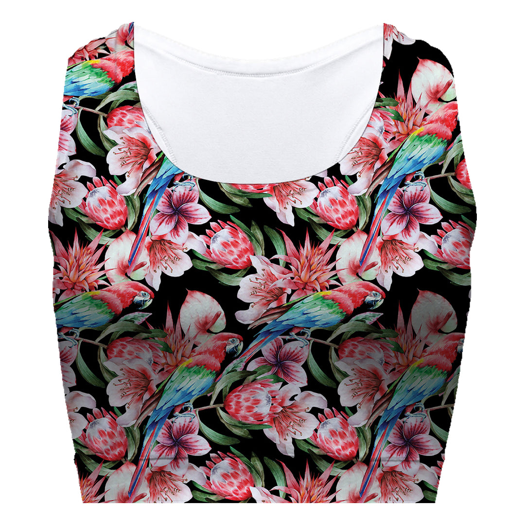 Tomb Papagei Sport Bra Woman Underwear Beachwear Loungewear