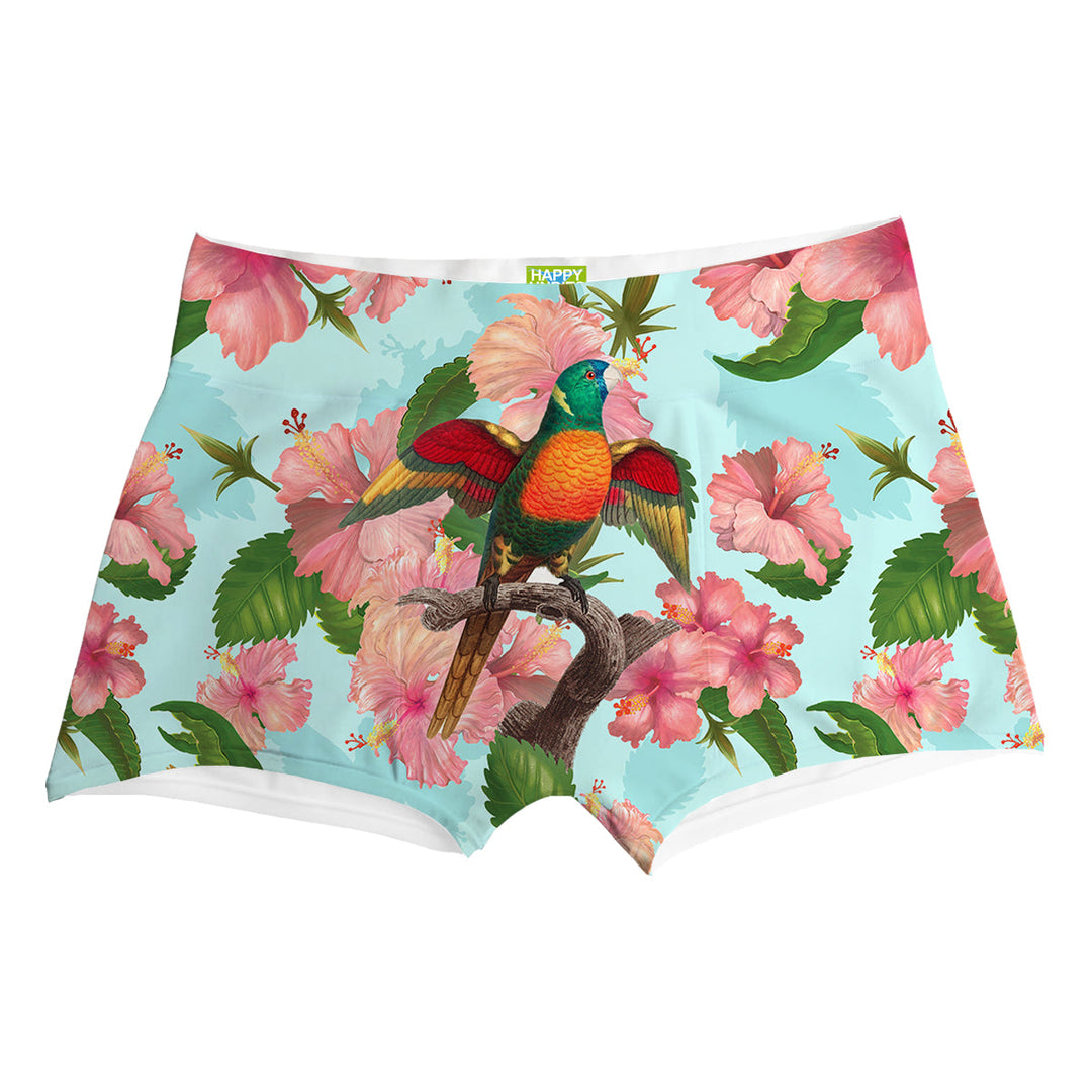 Wild Singer Boxer Front