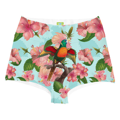 Wild Singer Highwaist Front
