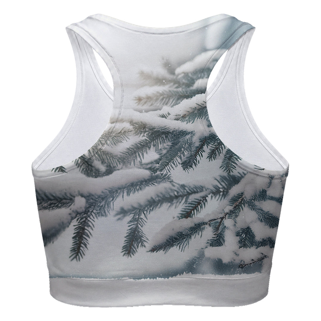 Winter Birds Sport Bra Woman Underwear Beachwear Loungewear